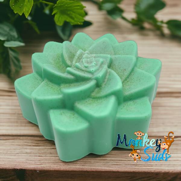 Eucalyptus & Spearmint Succulent Soap